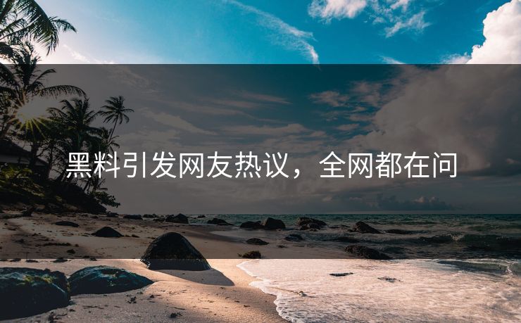 黑料引发网友热议，全网都在问