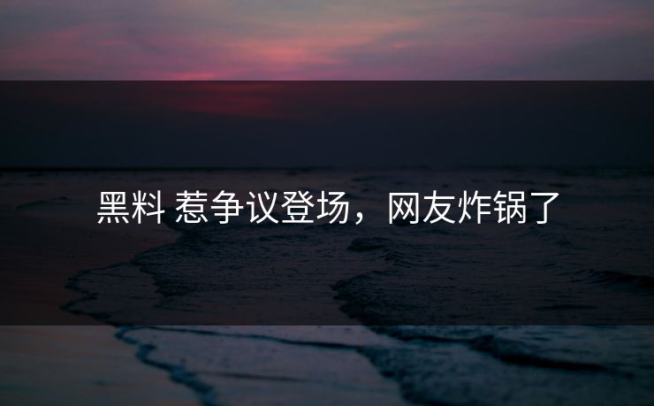 黑料 惹争议登场，网友炸锅了