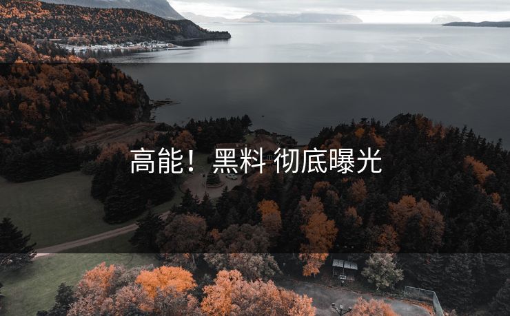 高能！黑料 彻底曝光