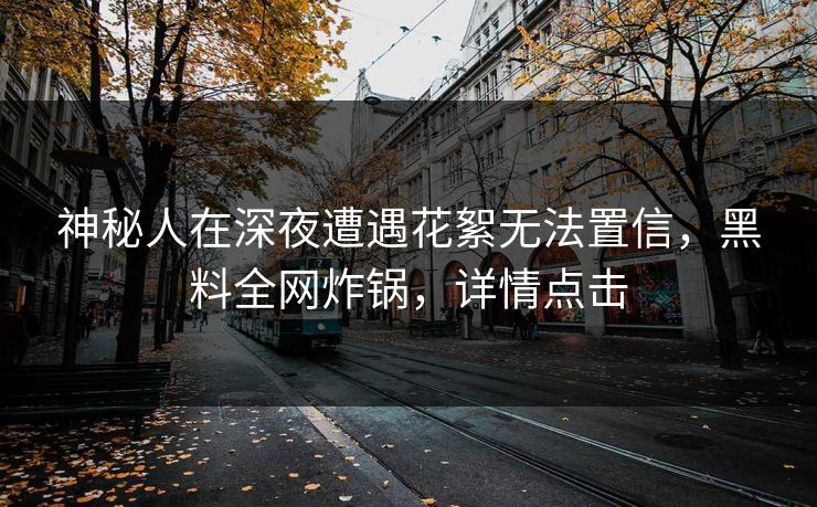 神秘人在深夜遭遇花絮无法置信，黑料全网炸锅，详情点击