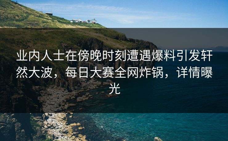 业内人士在傍晚时刻遭遇爆料引发轩然大波，每日大赛全网炸锅，详情曝光