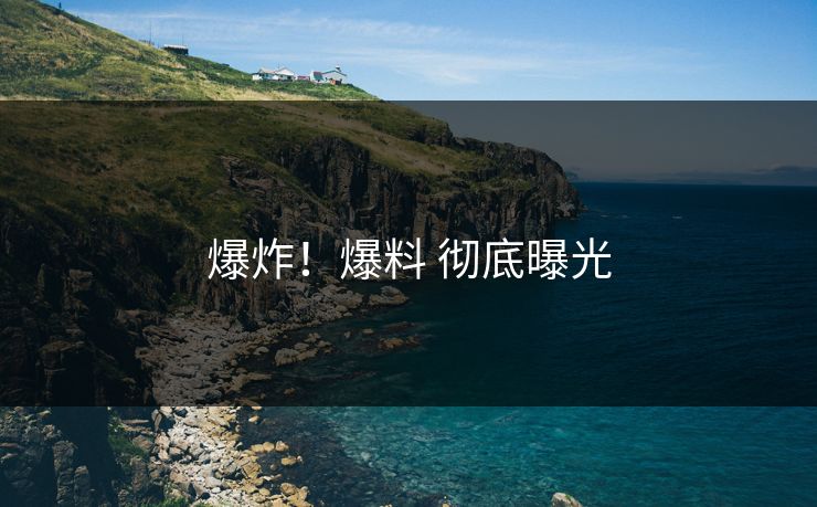 爆炸！爆料 彻底曝光